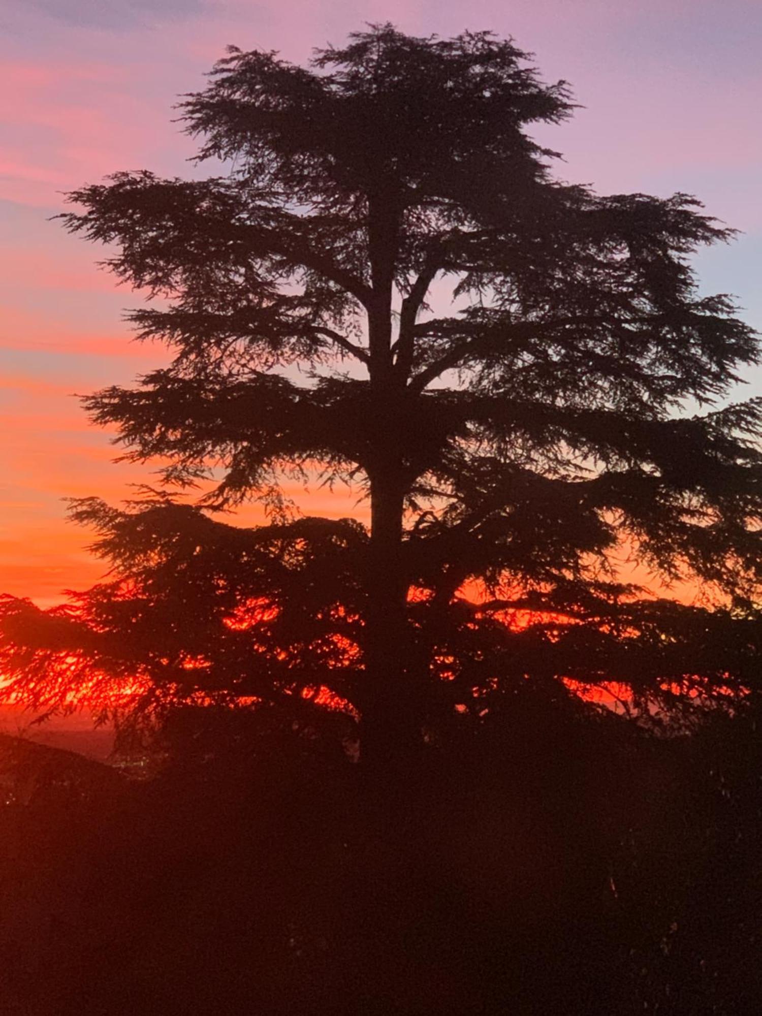 B&B Villa Cernigliaro Dimora Storica Sordevolo Exteriör bild