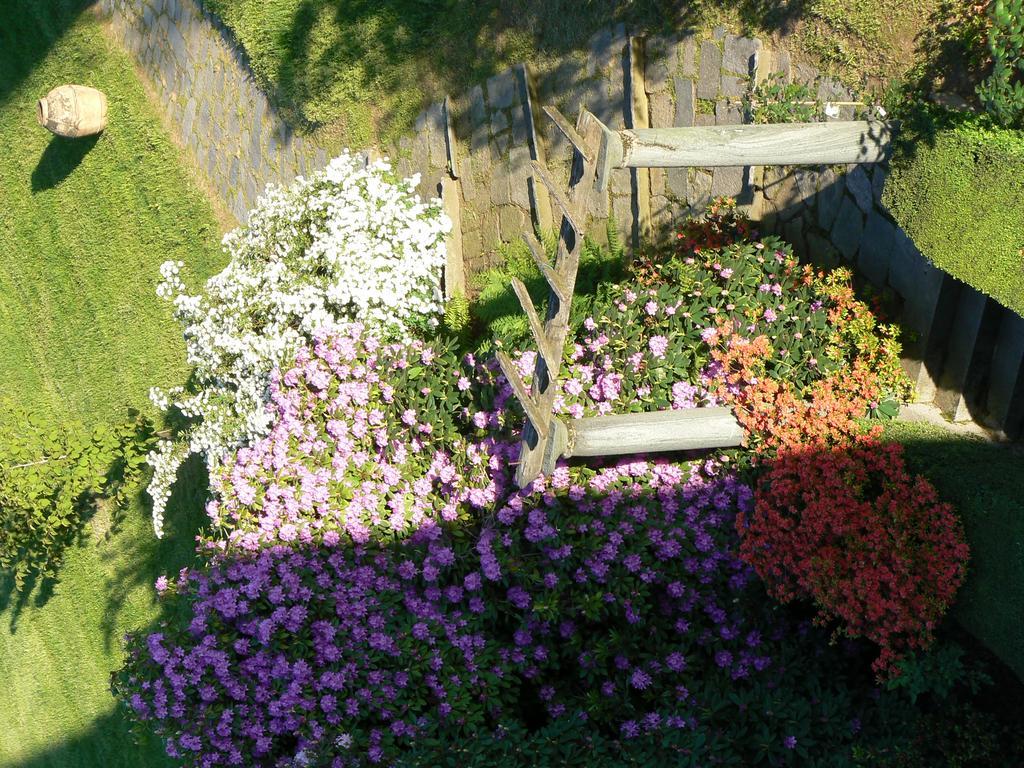 B&B Villa Cernigliaro Dimora Storica Sordevolo Exteriör bild